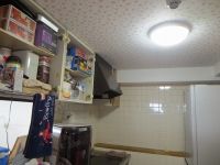 IMG_1939.jpg