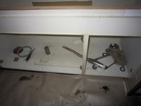 IMG_0113.jpg