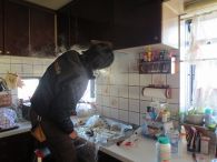 IMG_0232.jpg