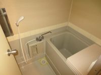 IMG_3513.jpg