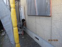 IMG_0528.jpg