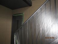 IMG_0525.jpg