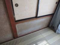 IMG_0527.jpg