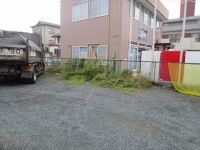 IMG_2443.jpg